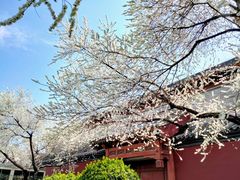 -雍和宫(地铁站)