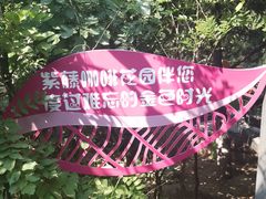 -太阳宫公园