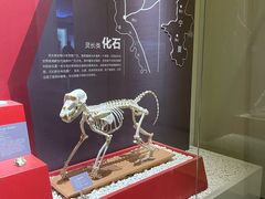 -国家自然博物馆