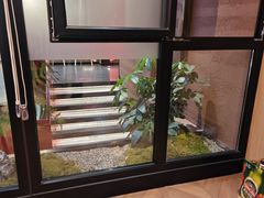 -老城根·潍坊菜(高新店)