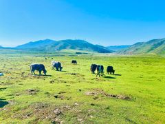 -青海湖国家重点风景名胜区