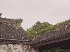 -绍兴鲁迅故里·沈园景区