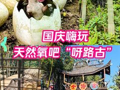 -呀路古热带植物园