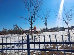 -绿野森林乐园冰雪季