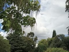 -海德公园
