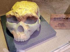 -陕西自然博物馆