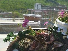 -四姑娘山阿巴郎·藏式花园餐厅