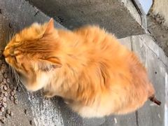 -艾贝尔宠物医院 ·中兽医·宠保定点(北门桥店)