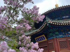 -潭柘寺景区