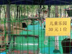 -草根堂农场