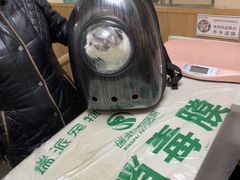 -瑞派宠物医院·24h·骨外科·皮肤科·全科宠物医疗转诊中心(沈阳浑南院)