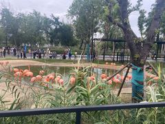 -武汉动物园