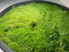 -予厘·推拿按摩·精油SPA(憩舍长安店)