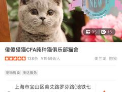 -Bastet sally猫舍购宠(静安店)