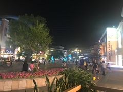 -Salud撒露欧洲冻酸奶(蓝色港湾店)