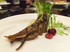 -小广寒电影艺术餐厅(小广寒经三路店)