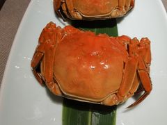 -小厨娘绣中淮扬(总统府大行宫店)