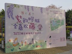 -嘉定紫藤园