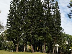 -人民公园(罗湖区)