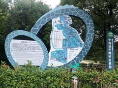 -中国扬子鳄村