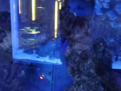 -上和臻品中国菜(花园街店)