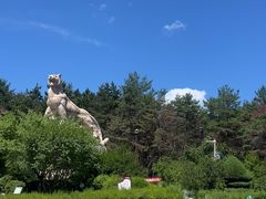 -帽儿山国家森林公园