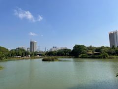 -福田红树林生态公园
