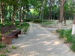 -东升八家郊野公园