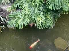 -昆明洲际酒店