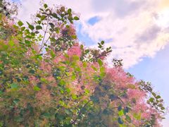 -周口店坡峰岭风景区