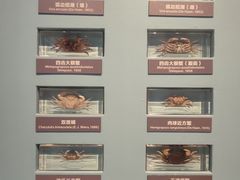 -舟山博物馆