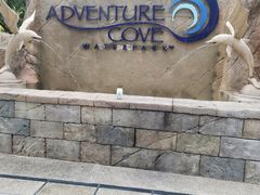 -新加坡水上探险乐园