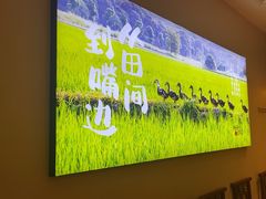 -杨厨的田园饭店(长城路店)