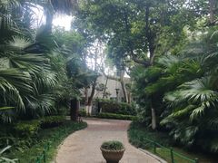 -大梅沙海滨公园