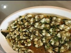 -呼吸森林·生态农庄农家乐私房菜