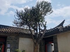 -朱家花园