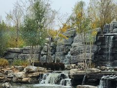 -北京野生动物园