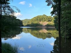 -广州市石门国家森林公园
