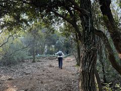 -杭州半山国家森林公园