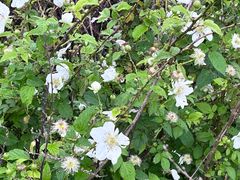 -极客修手机维修·电脑维修·家电维修清洗(五一广场店)