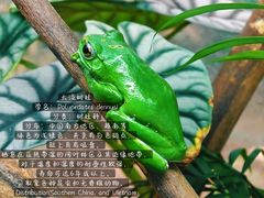 -上海大自然野生昆虫馆(东方明珠·爬宠昆虫探索中心)