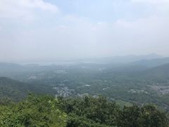 -旅马餐厅(茅家埠店)