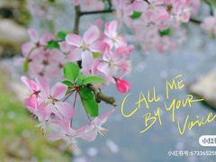 -秀丽东方