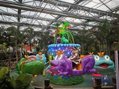 -南宫五洲植物乐园