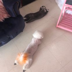 -Pink You美甲美睫纹绣定制中心