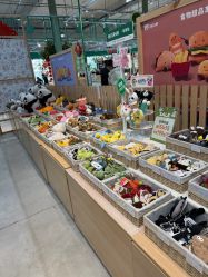 -丽家宝贝总部基地(金业大街店)