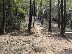 -火炉山森林公园