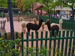 -无锡动物园·太湖欢乐园