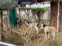 -国色天乡三期陆地乐园