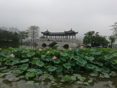 -飞来湖湿地公园